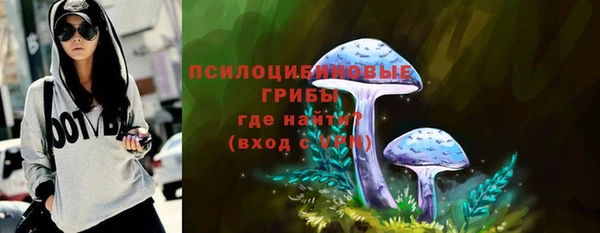 ПСИЛОЦИБИНОВЫЕ ГРИБЫ Пестово