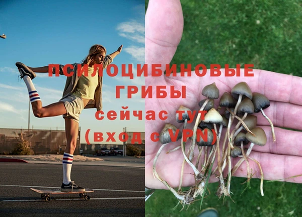 ПСИЛОЦИБИНОВЫЕ ГРИБЫ Пестово