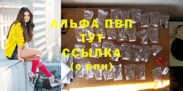 ПСИЛОЦИБИНОВЫЕ ГРИБЫ Пестово