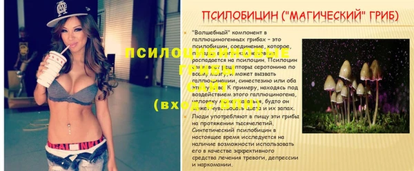 ПСИЛОЦИБИНОВЫЕ ГРИБЫ Пестово