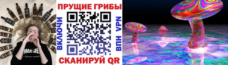дарнет шоп  OMG   Псилоцибиновые грибы GOLDEN TEACHER  Новосиль 